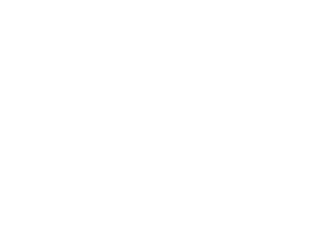 Rooftop View